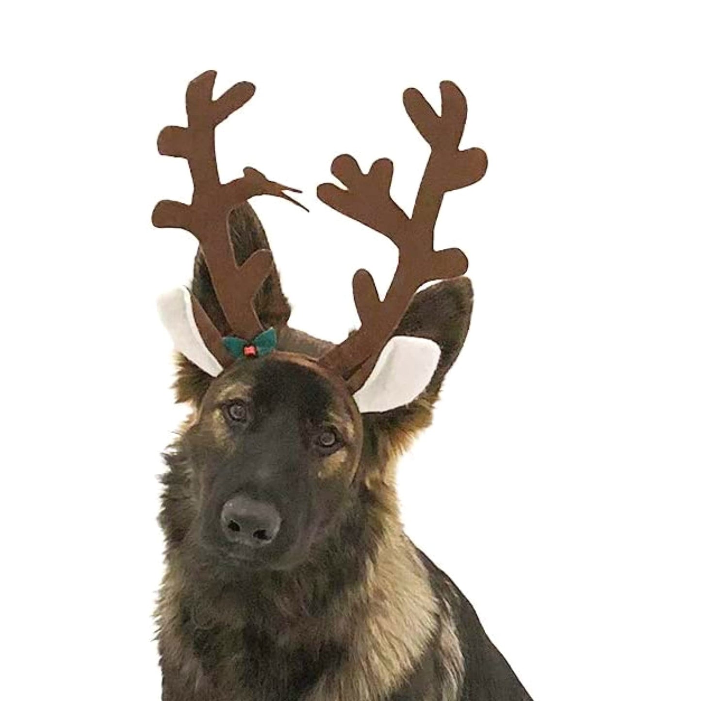 Midlee Brown Reindeer Dog Antlers Headband Pet Christmas Costume - Large