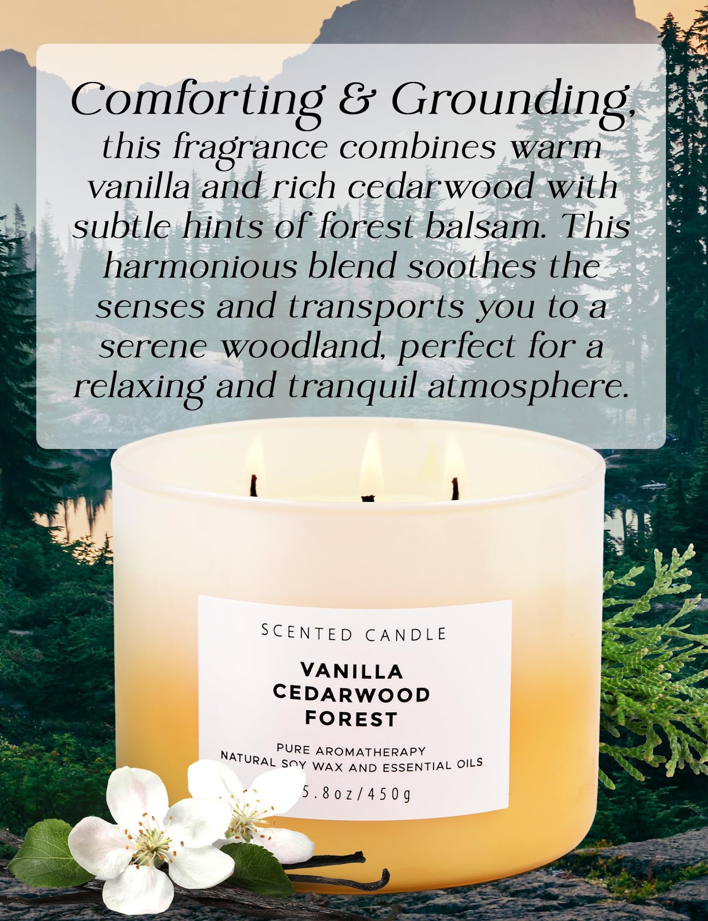 Vanilla Cedarwood Forest 3 Wick Scented Candle | Large Soy Candles for Stress Relief 15.8 oz | Relaxing Aromatherapy Candle for Men & Women | Fresh Cozy Scent Long Lasting Candles for Home Clean Burn
