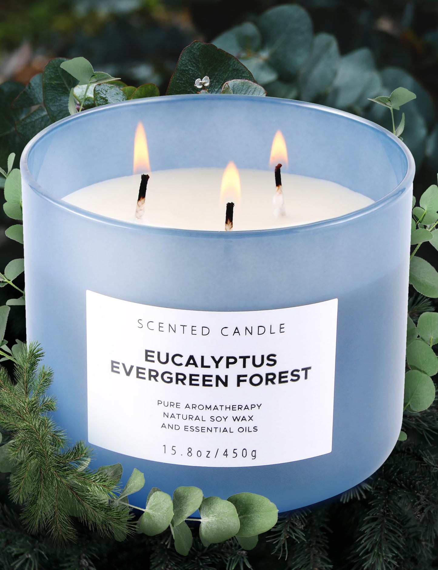 Eucalyptus Evergreen Forest 3 Wick Scented Candle | Luxury Soy Candles for Home | Relaxing Aromatherapy Stress Relief Candle 15.8 oz | Clean Burn Long Lasting Balsam Fir Woods Candles for Men & Women