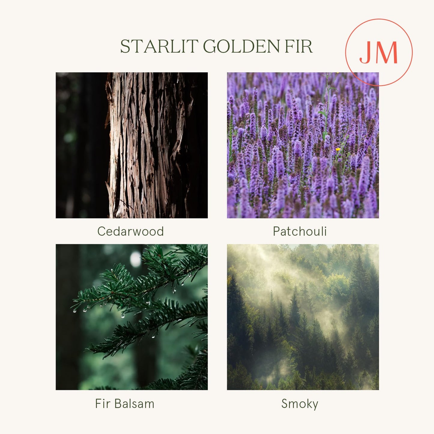 LA JOLIE MUSE Fir & Cedarwood Candle, Scented Candles for Home, Holiday Candle Gifts for Women&Men, Natural Soy Candles, Luxury Jar Candle, Starlit Golden Fir, 11oz