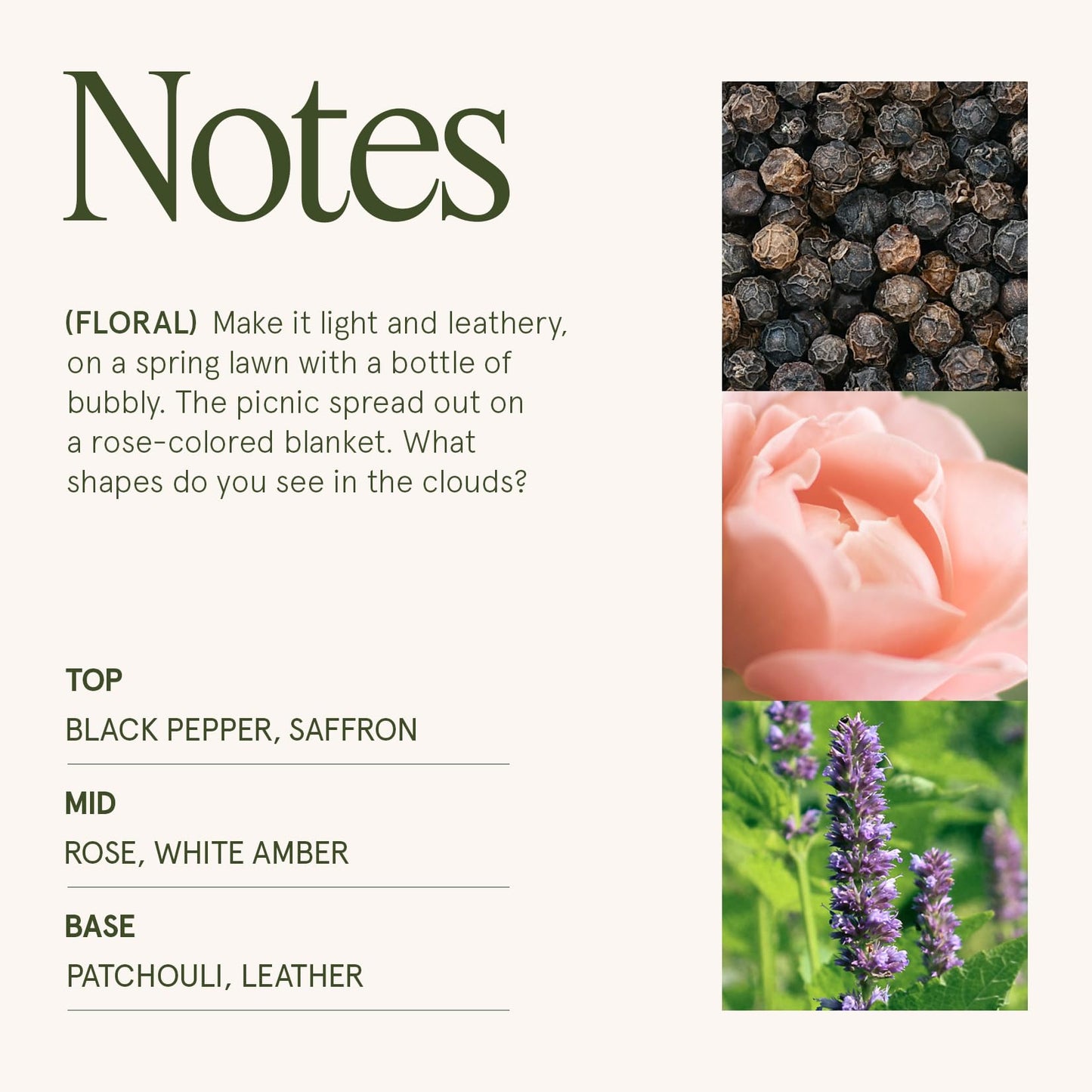 LA JOLIE MUSE Sandalwood Rose Candle, Scented Candles Gifts for Women, Natural Soy Candle, 6 oz 40 Hours Burn, Candles for Home Scented