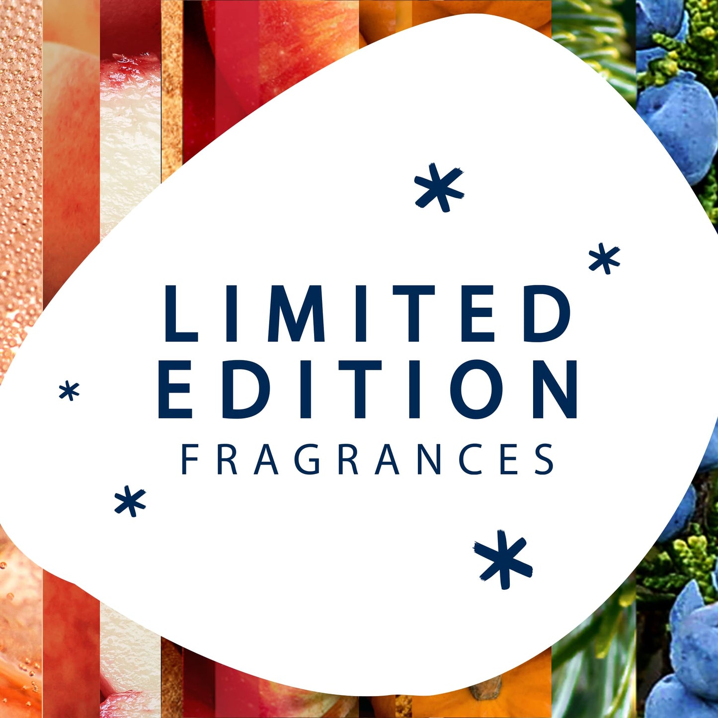 Glade Candle Twinkling Pine & Cedar, Fragrance Candle Infused with Essential Oils, Air Freshener Candle, 3-Wick Candle, 6.8 Oz, 3 Count