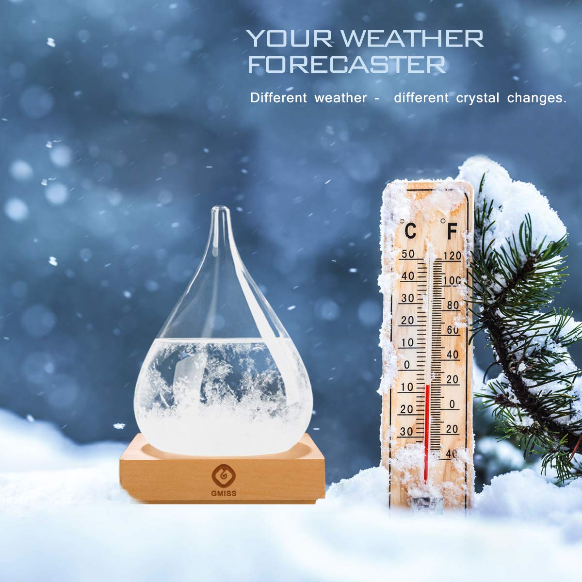 Storm Glass Weather Forecast Bottle,Snow Globe Barometer Bottle, Water Drop Weather Forecast Bottle, Home and Office Decorative Glass Bottles, Unique Gifts for Her (M)