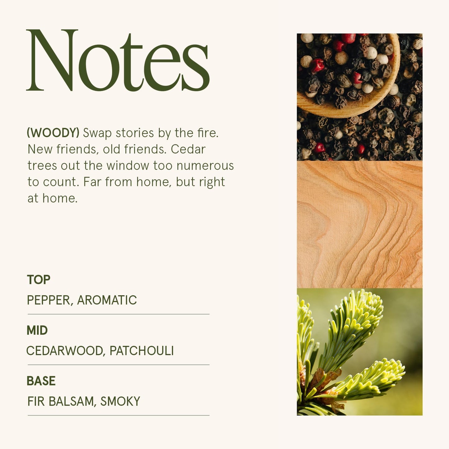 LA JOLIE MUSE Starlit Golden Fir Scented Candle, Winter Candle Gifts, Fir & Cedarwood Candle, Holiday Candles for Home Scented, Natural Soy Wax Candle, 6 oz 40 Hours Burn