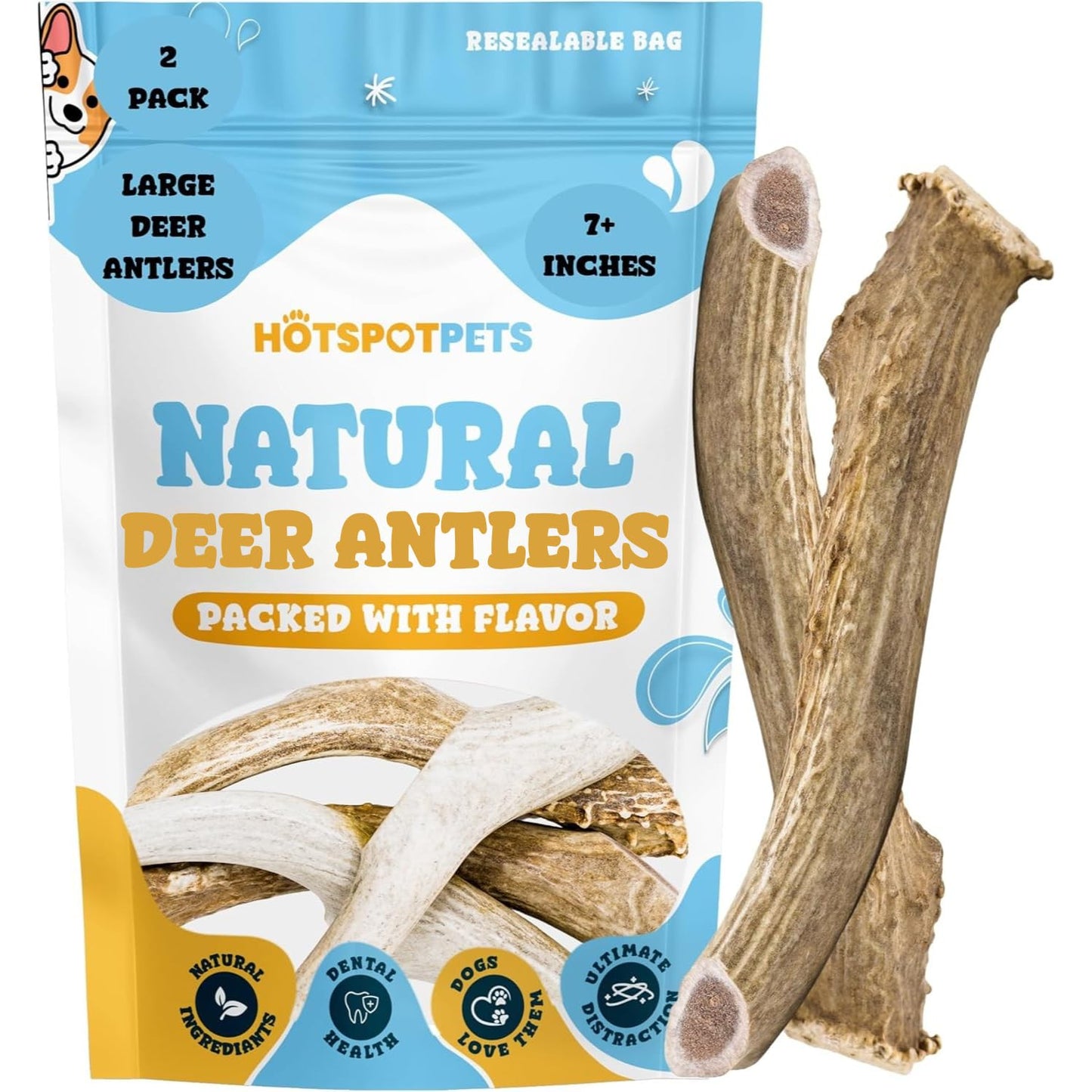 hotspot pets Premium Deer Antlers for Dogs - 7+ Inch Large Antler Dog Chews (2 Pack) Made in USA - Naturally Shed Antler Bone for Large Breed Aggressive Chewers - Promotes Dental Hygiene