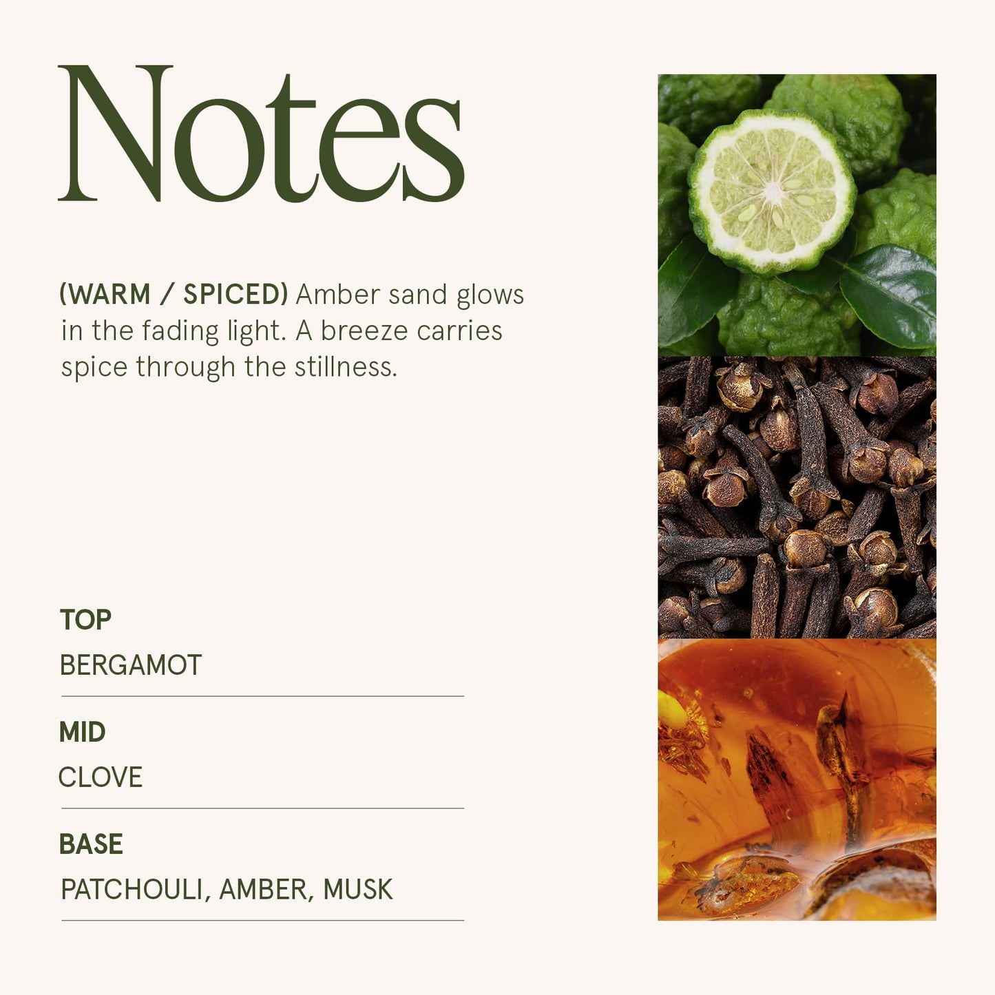 LA JOLIE MUSE Moroccan Amber Scented Candles, Holiday Candles for Home Scented, Natural Soy Candles, 75 Hours Long Burning Candles, Premium Candle Gift, 10oz