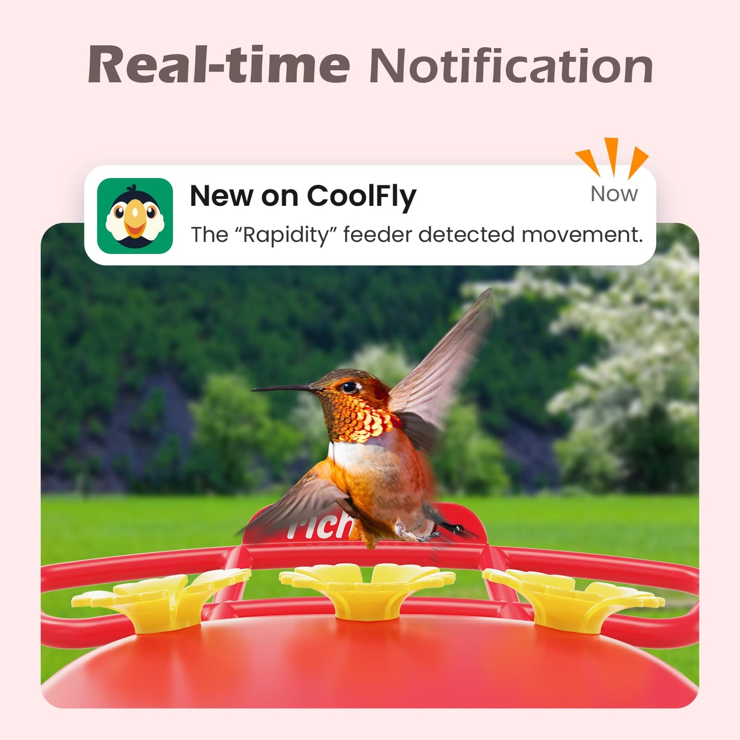 RichBird Smart Hummingbird Feeder with Camera Solar Powered, AI Identify, Instant Notification, Leakproof & Ant Moat, Outdoors Hanging, Idea Gift for Bird Lovers (20 oz)