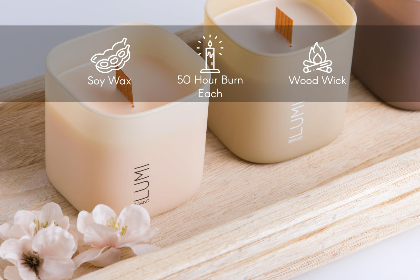 Set of 3 Scented Soy Candles Gift Set | Nature's Bloom Collection | 3 Scented Candles - Gardenia, Hilton Garden, and Rose & Oud | Crackling Wood Wick | Clean Burn | 50+HR Burn Time, 9.8oz Each