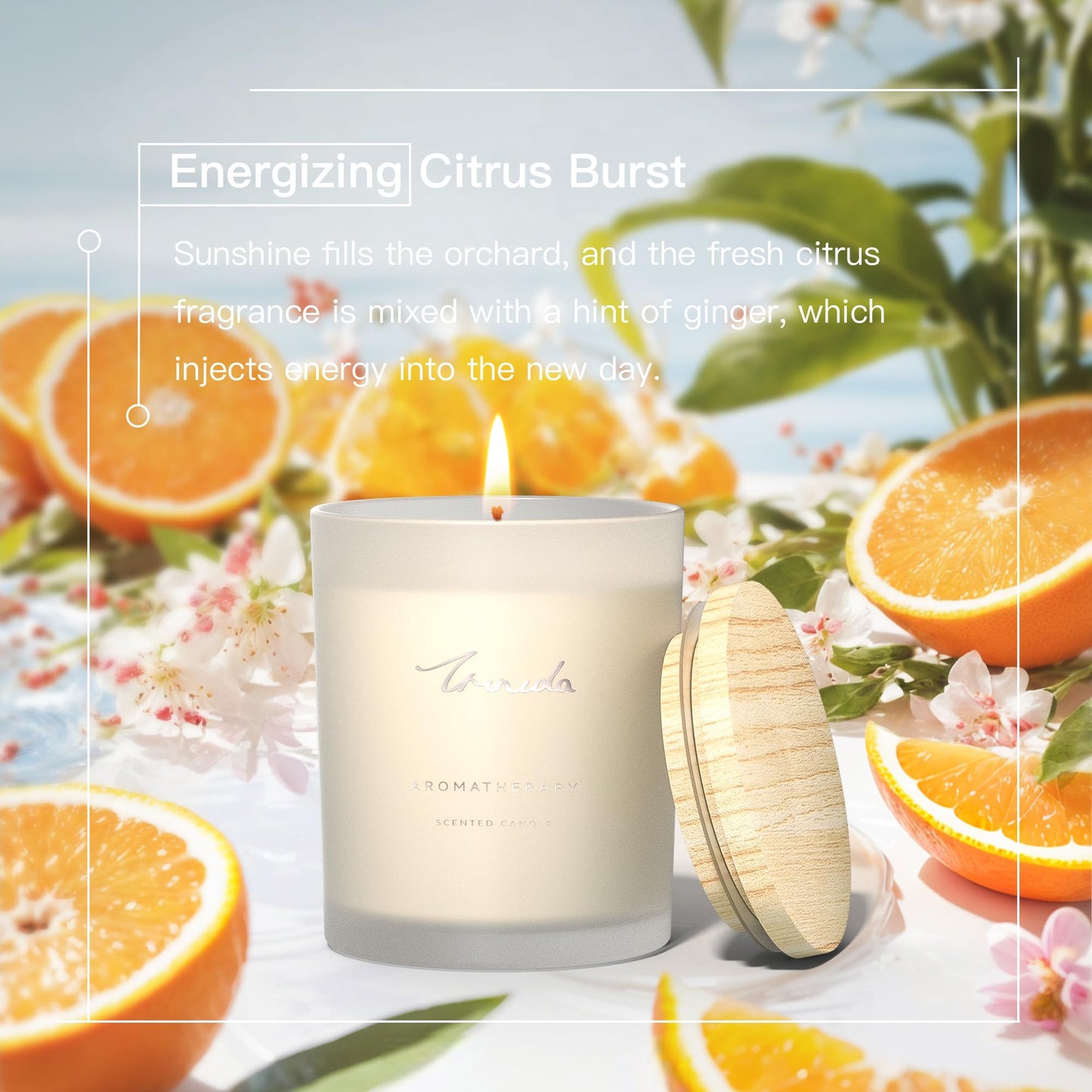 TRINIDa Scented Candles 120Hrs, Soy Candles for Home Scented, Aromatherapy Candle Set, Lavender Candle Gifts for Women Birthday