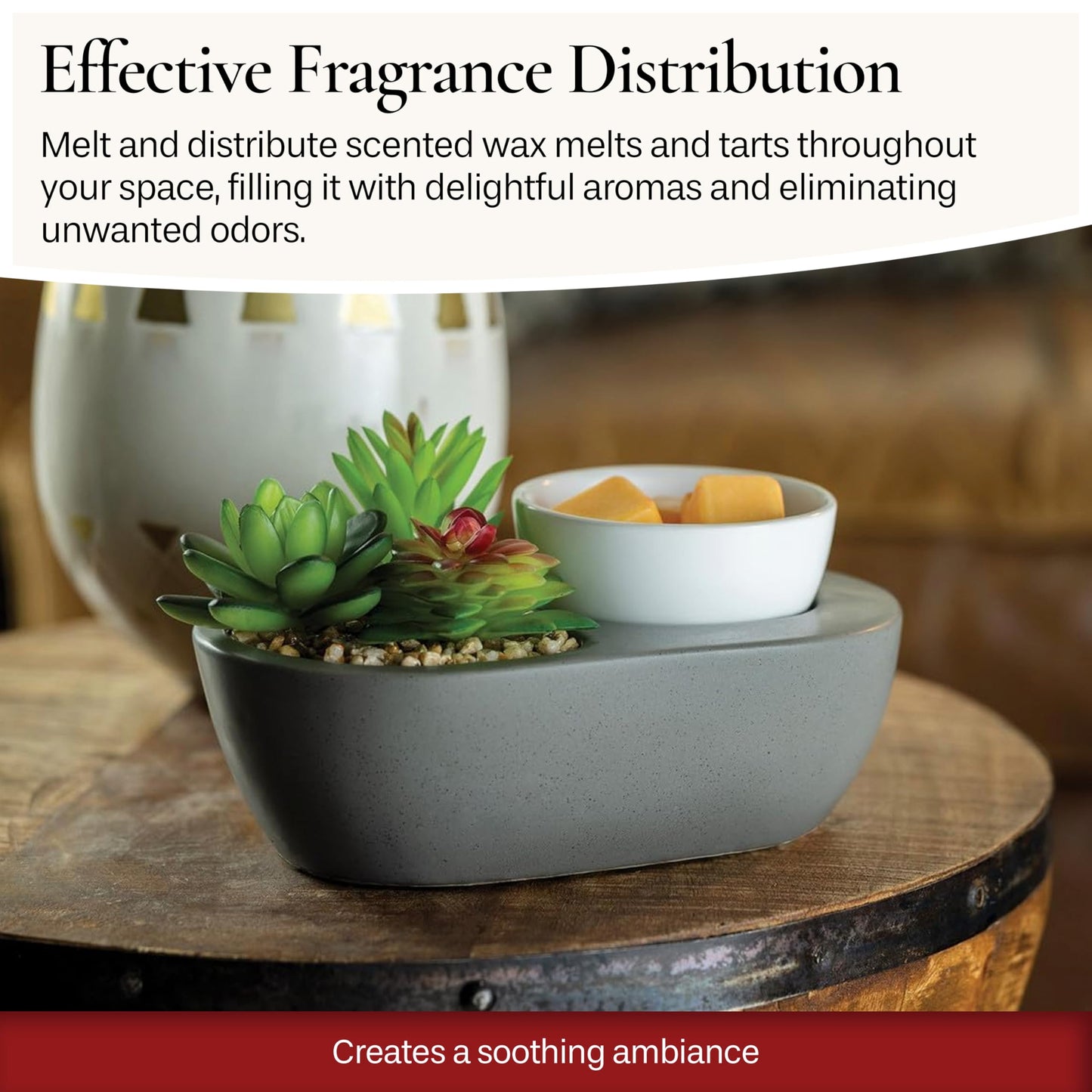 Candle Warmers Etc. Fragrance Warmer (Succulent) Warm Scented Wax Melts, Cubes and Tarts