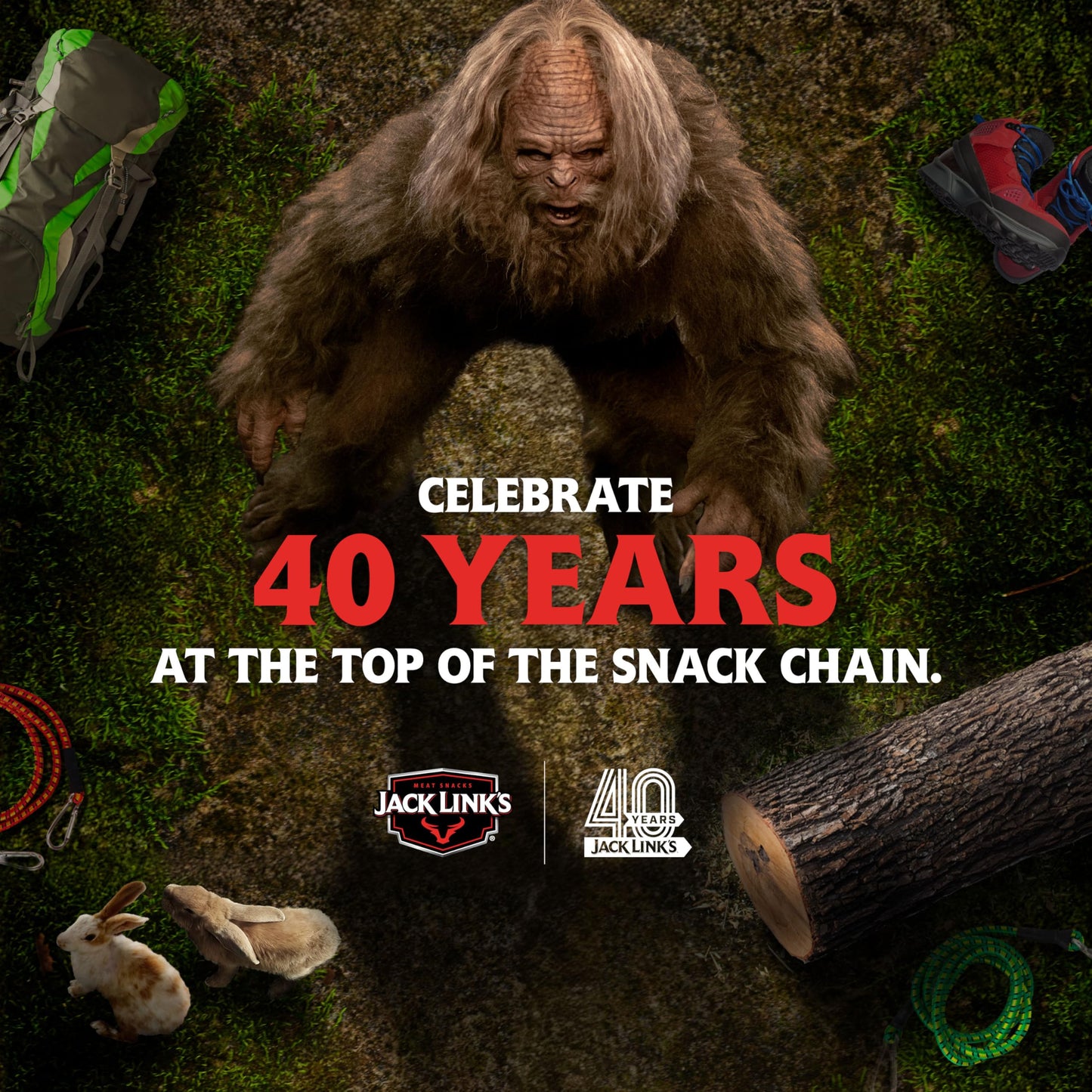 Jack Link's Beef Jerky Gift Basket Variety Pack - Includes Jerky, Meat Sticks, and Beef Steaks, Great Gift for Men, Perfect Hunting Trip Snacks, 15-Piece Assorted Meat Snack Pack